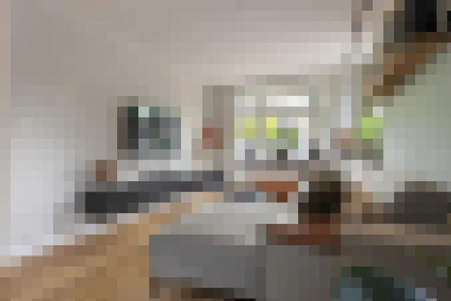 Hereweg 119 Meeden thumbnail 8