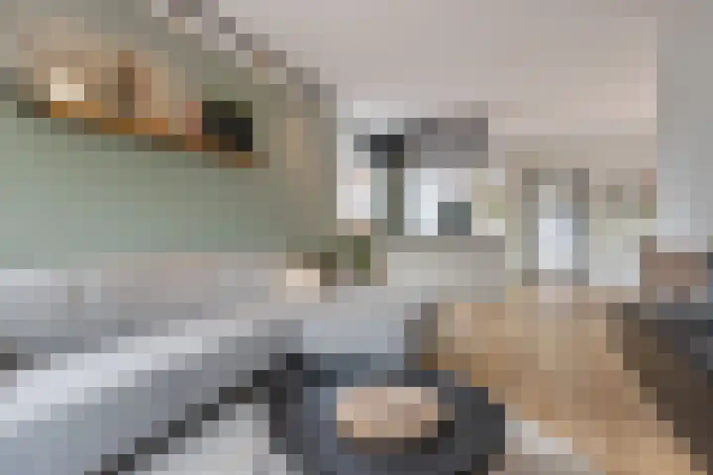 Hereweg 119 Meeden thumbnail 9