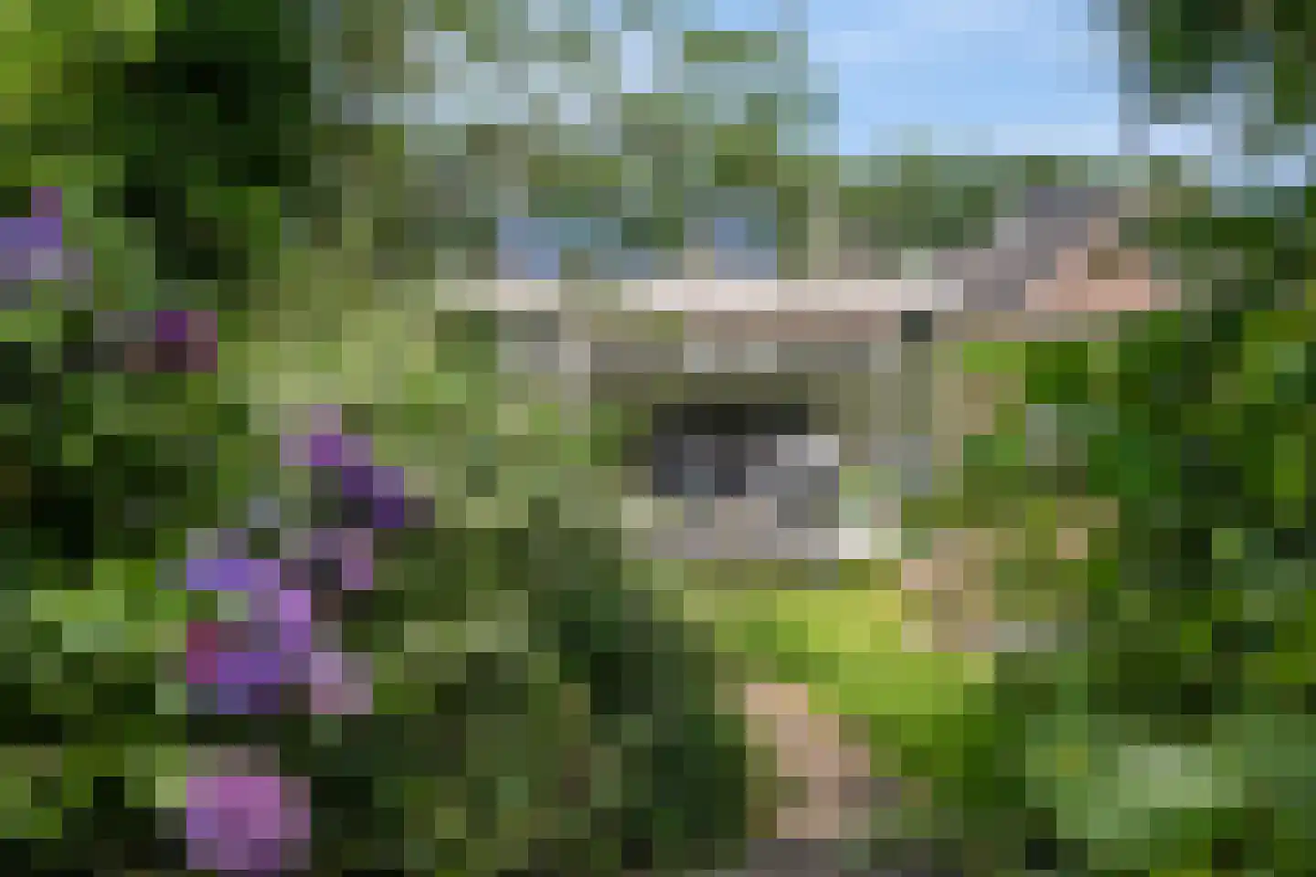 Hereweg 121 Meeden thumbnail 30