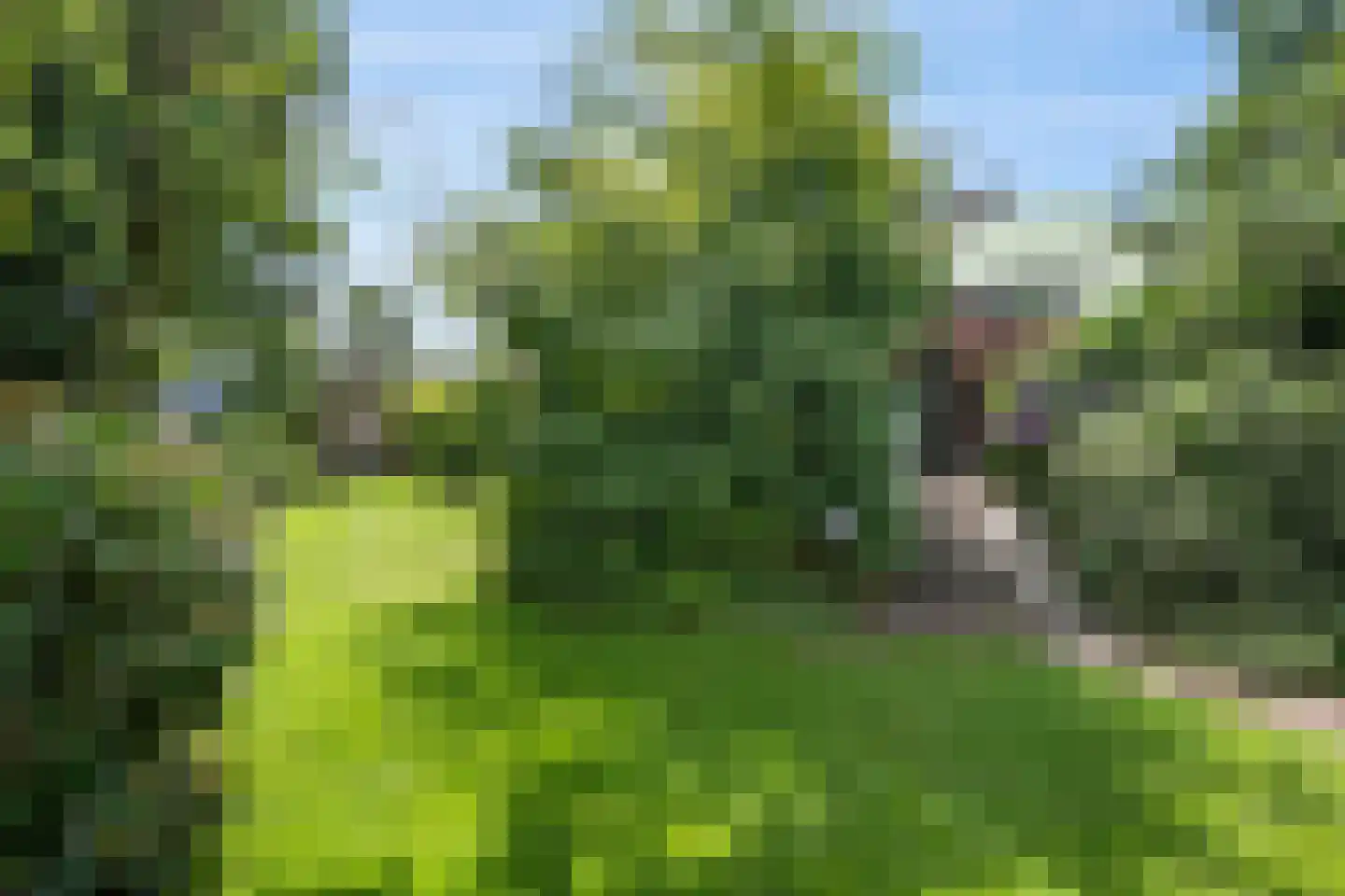 Hereweg 121 Meeden thumbnail 31