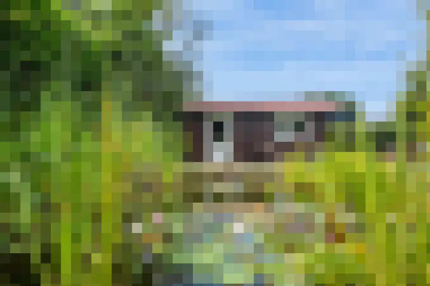 Hereweg 121 Meeden thumbnail 35