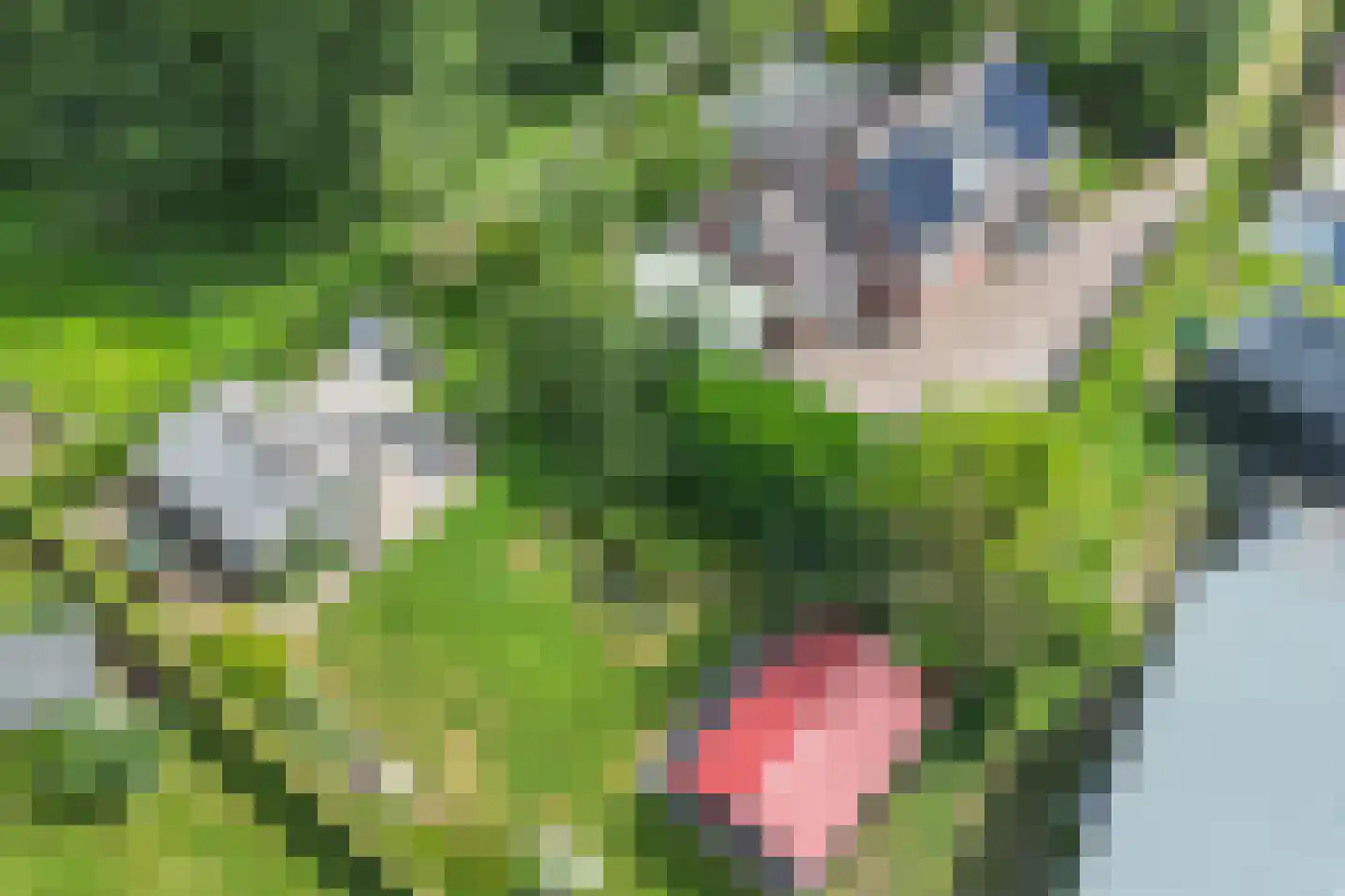 Hereweg 121 Meeden thumbnail 5