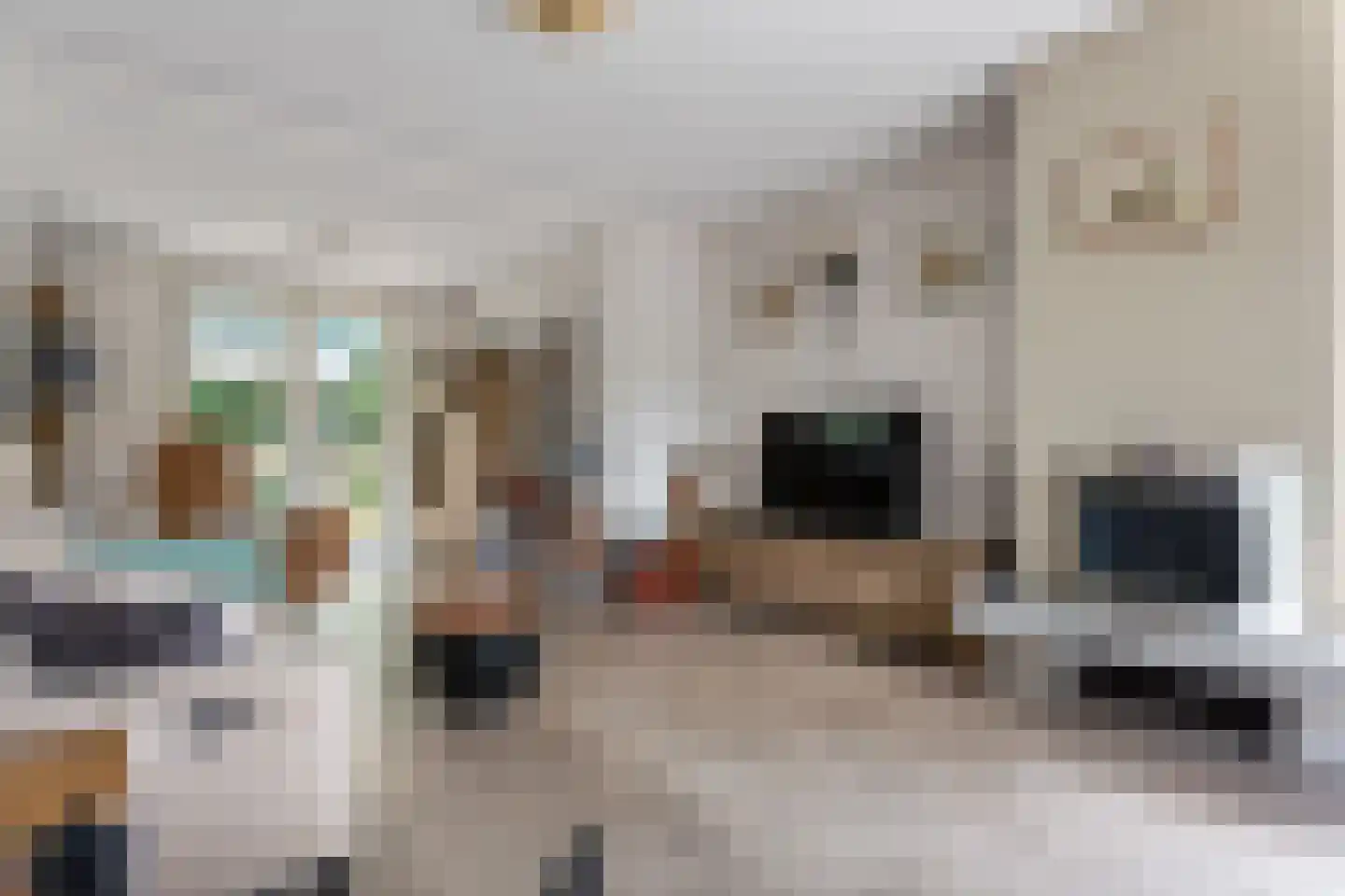 Hereweg 121 Meeden thumbnail 7
