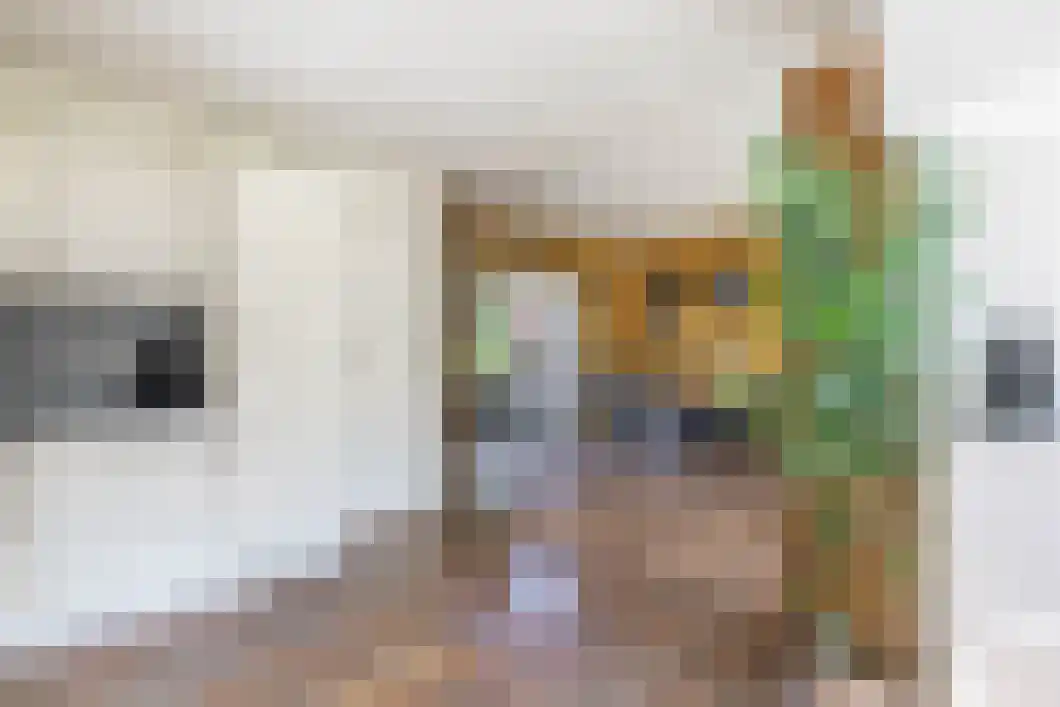 Hereweg 131 Meeden thumbnail 15