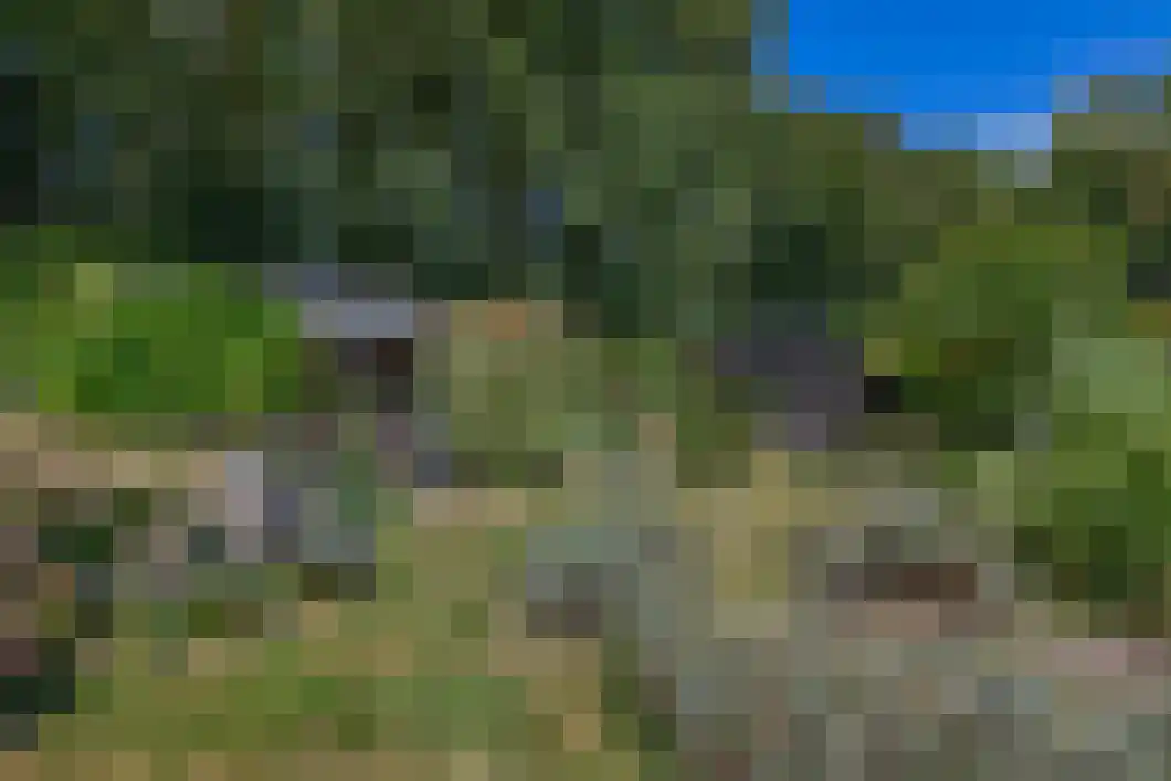 Hereweg 131 Meeden thumbnail 28