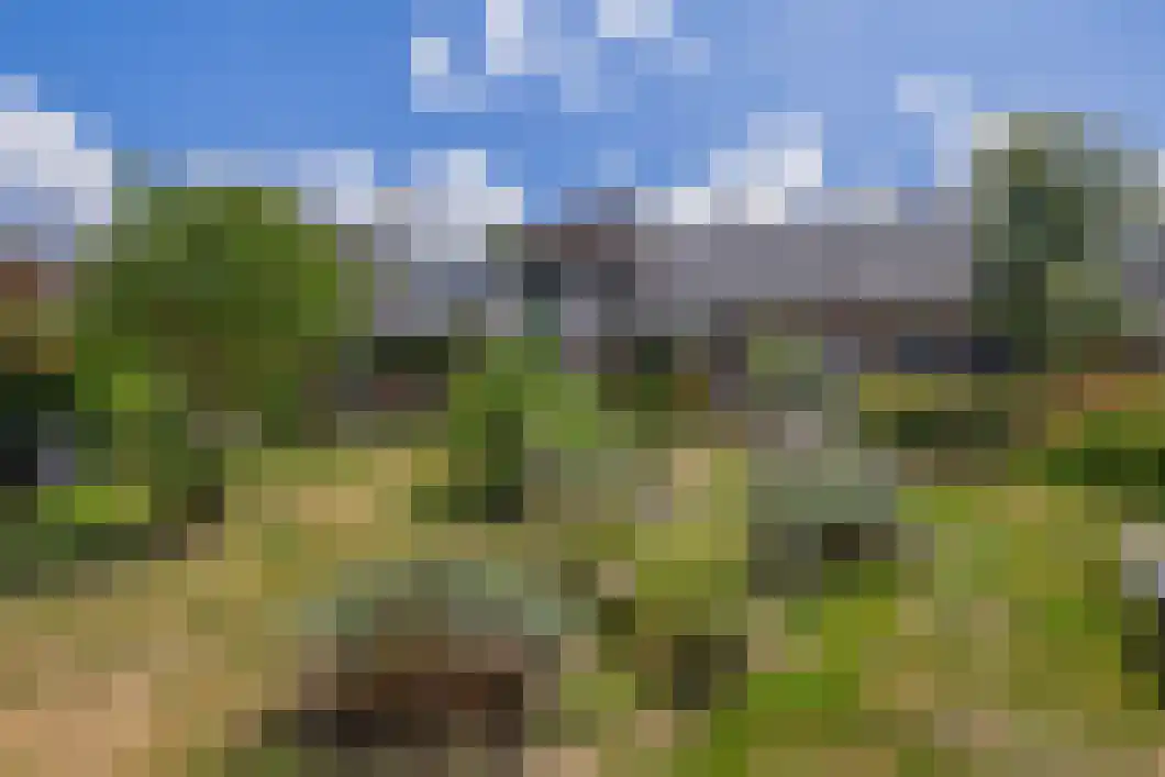 Hereweg 131 Meeden thumbnail 29