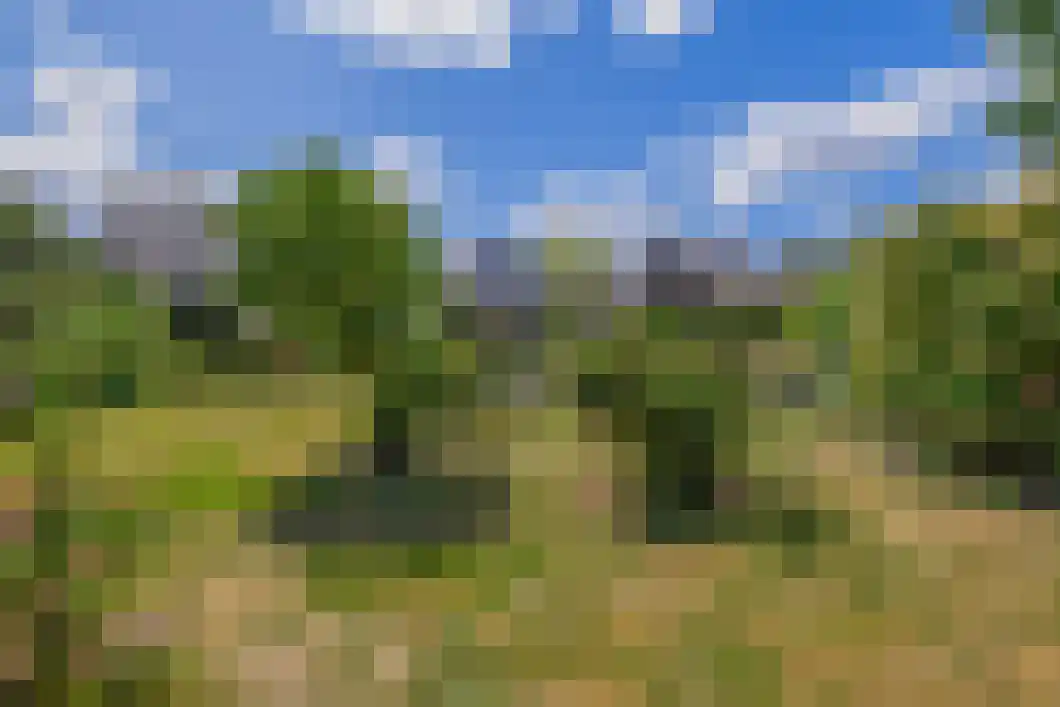 Hereweg 131 Meeden thumbnail 31