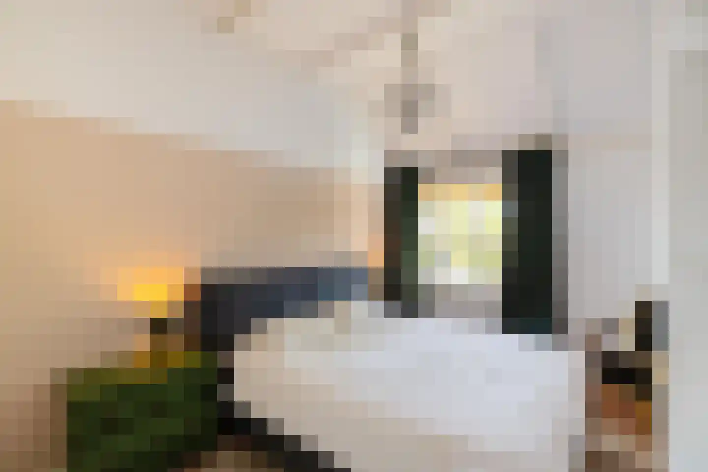 Hereweg 132 Groningen thumbnail 25