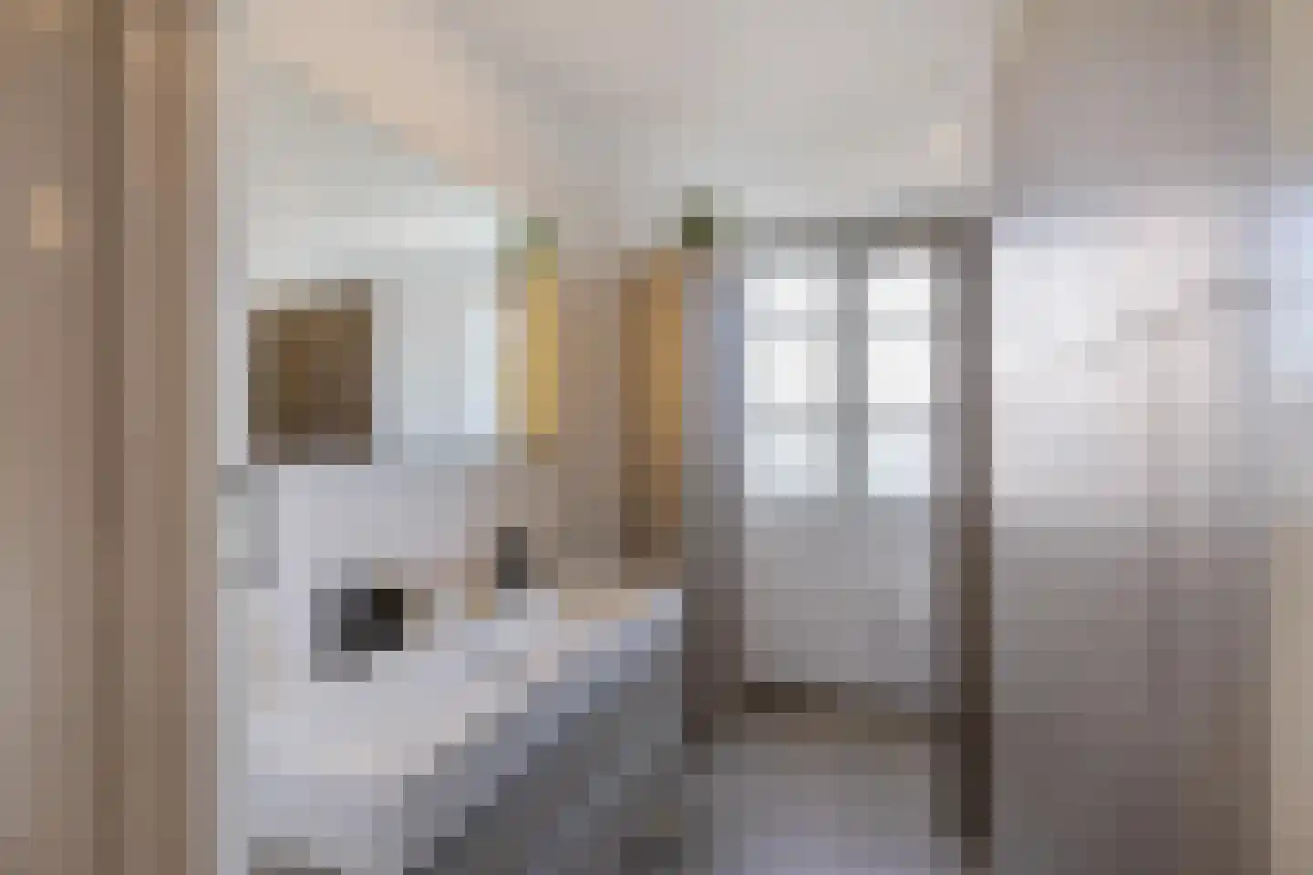 Hereweg 132 Groningen thumbnail 28