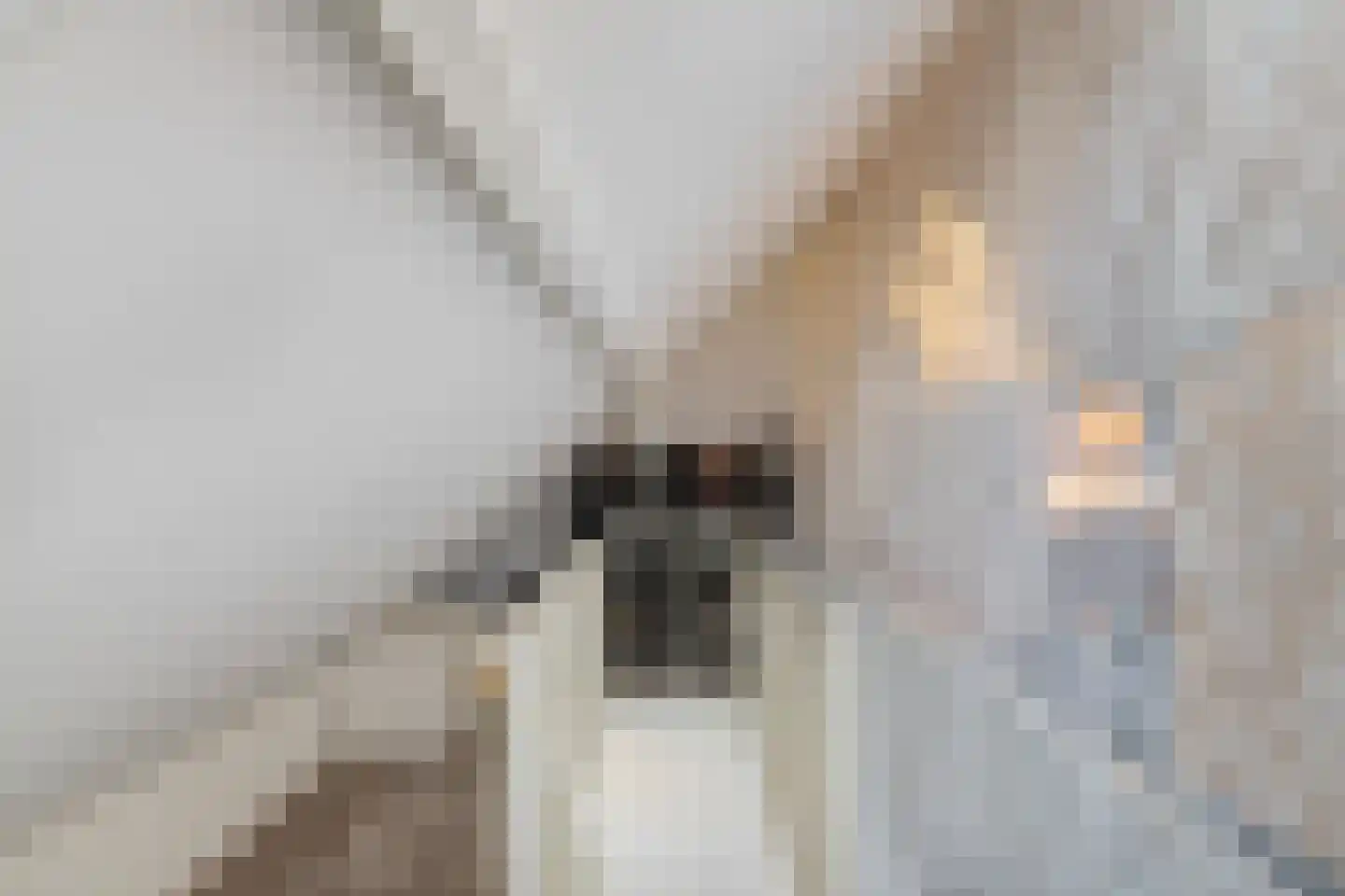 Hereweg 132 Groningen thumbnail 32