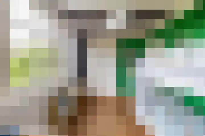 Hereweg 134 Groningen thumbnail 36