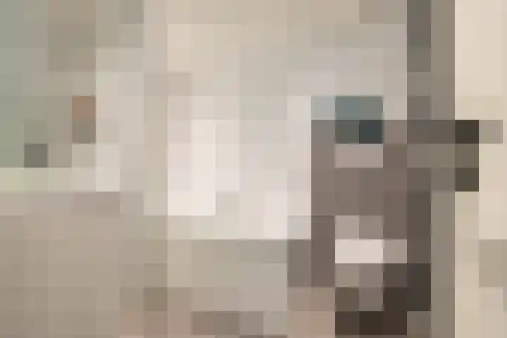 Hereweg 134 Groningen thumbnail 37