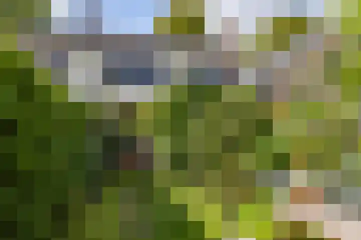 Hereweg 134 Groningen thumbnail 47