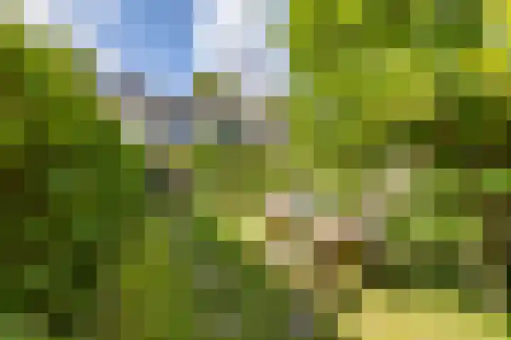 Hereweg 134 Groningen thumbnail 48