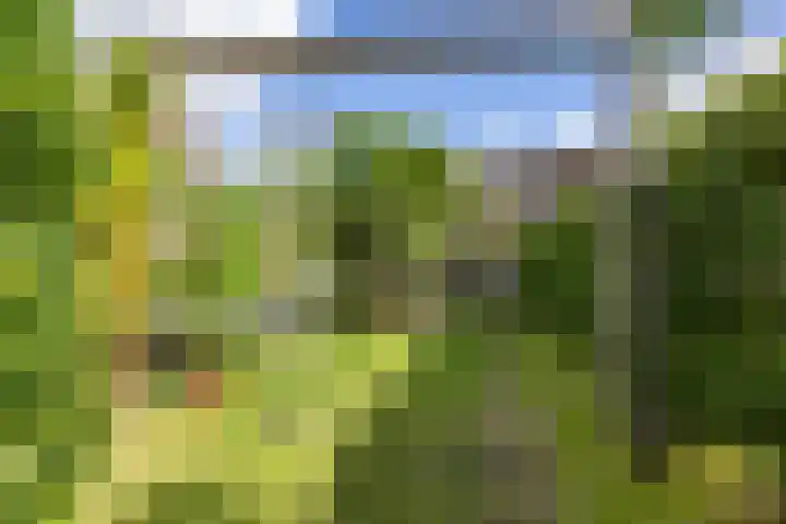 Hereweg 134 Groningen thumbnail 50