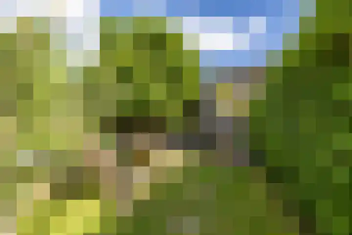 Hereweg 134 Groningen thumbnail 51