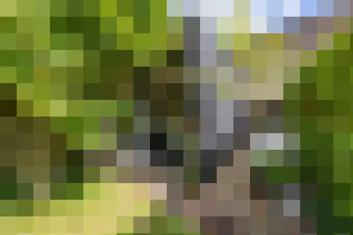 Hereweg 134 Groningen thumbnail 52