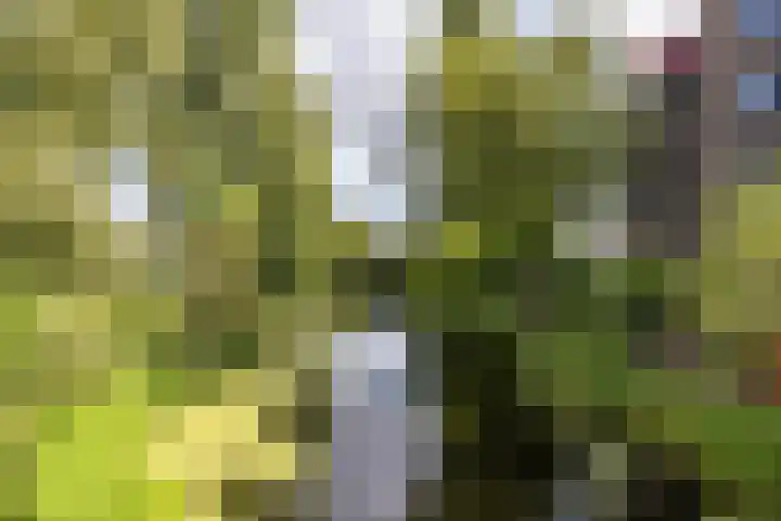 Hereweg 134 Groningen thumbnail 55