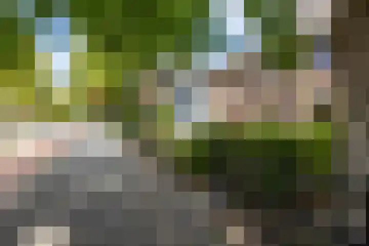 Hereweg 134 Groningen thumbnail 56