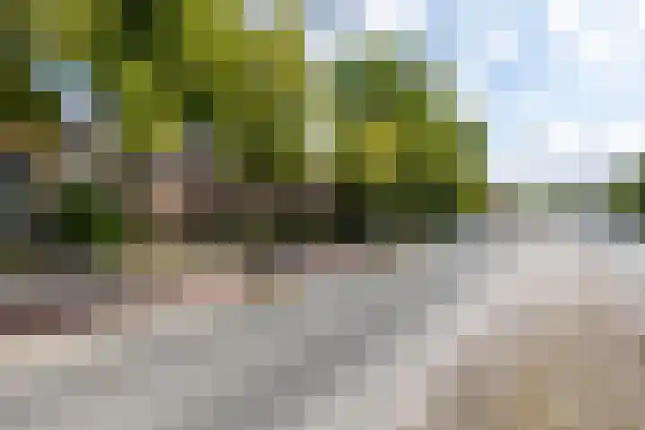 Hereweg 134 Groningen thumbnail 57