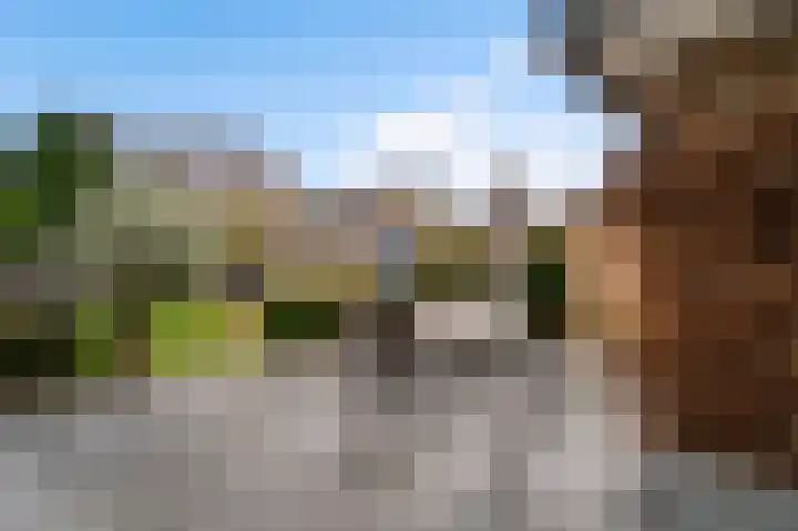 Hereweg 138 Meeden thumbnail 23