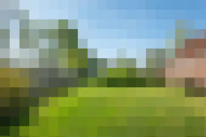 Hereweg 138 Meeden thumbnail 32