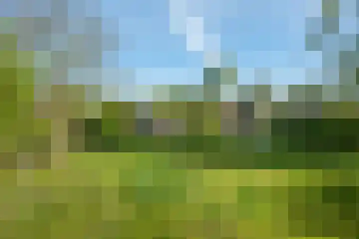 Hereweg 138 Meeden thumbnail 33