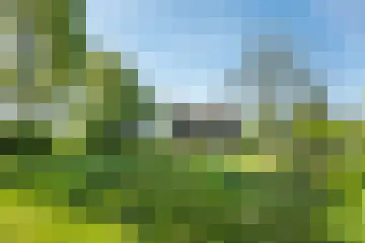 Hereweg 138 Meeden thumbnail 34