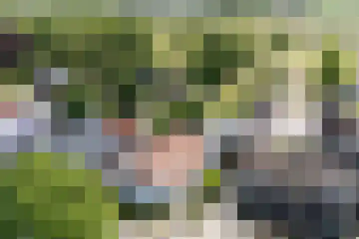 Hereweg 138 Meeden thumbnail 36
