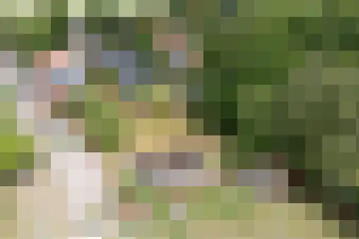 Hereweg 138 Meeden thumbnail 38
