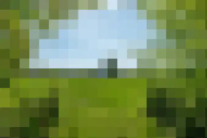 Hereweg 138 Meeden thumbnail 39