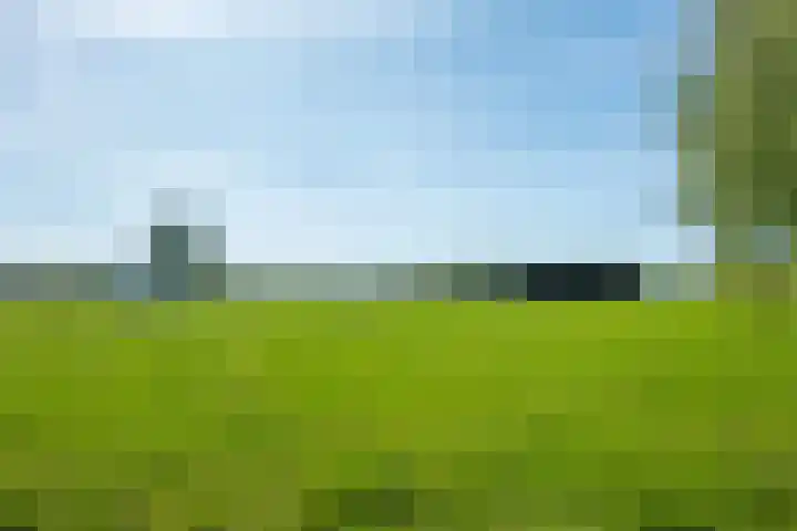 Hereweg 138 Meeden thumbnail 40