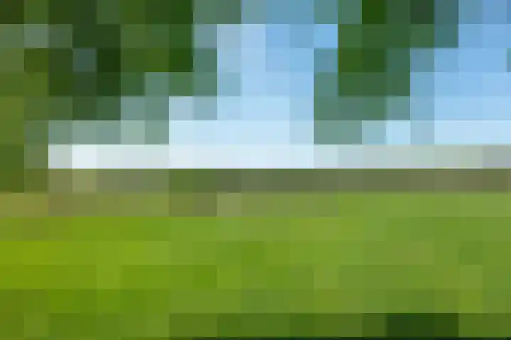 Hereweg 138 Meeden thumbnail 41