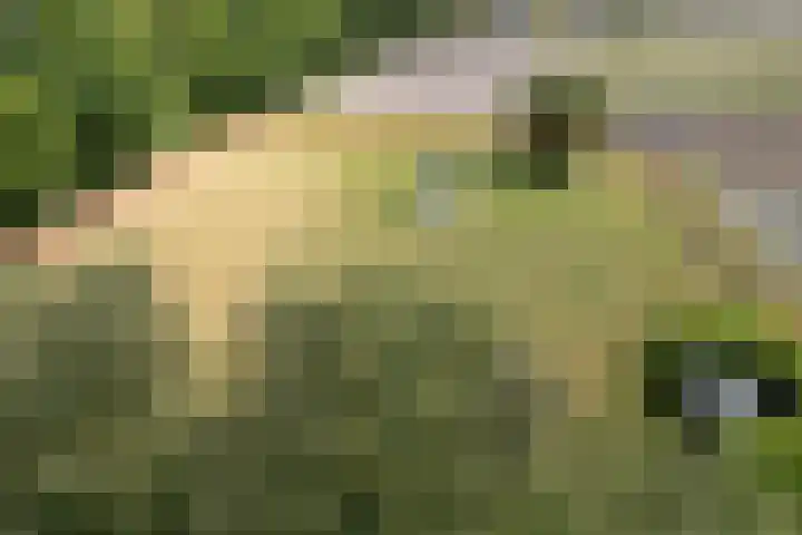 Hereweg 138 Meeden thumbnail 44