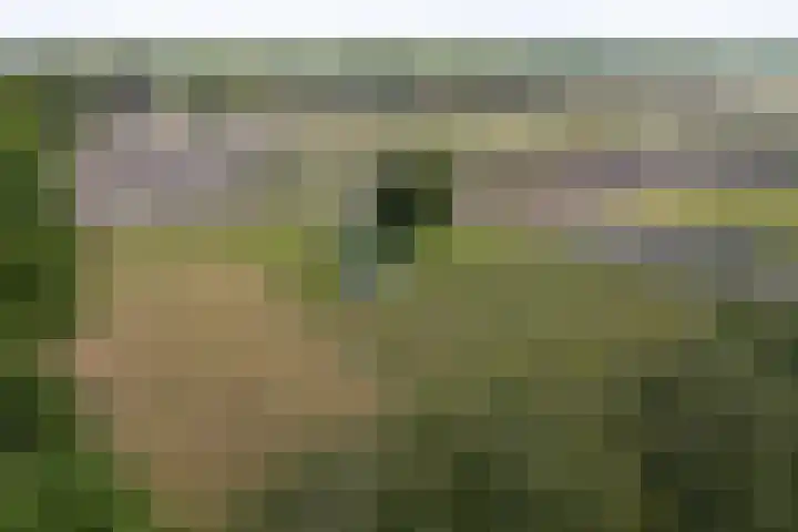 Hereweg 138 Meeden thumbnail 45