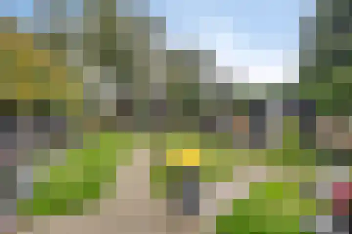 Hereweg 142 Meeden thumbnail 31