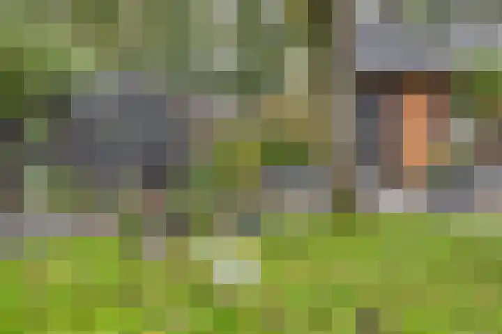 Hereweg 142 Meeden thumbnail 32