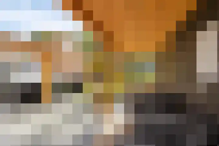 Hereweg 142 Meeden thumbnail 39