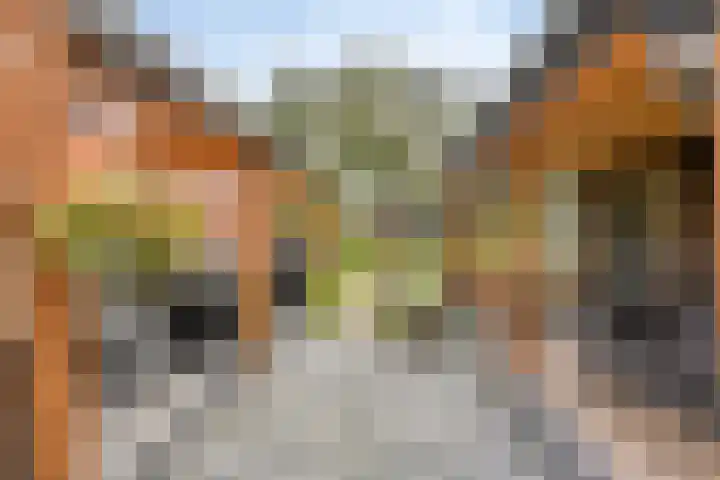 Hereweg 142 Meeden thumbnail 40