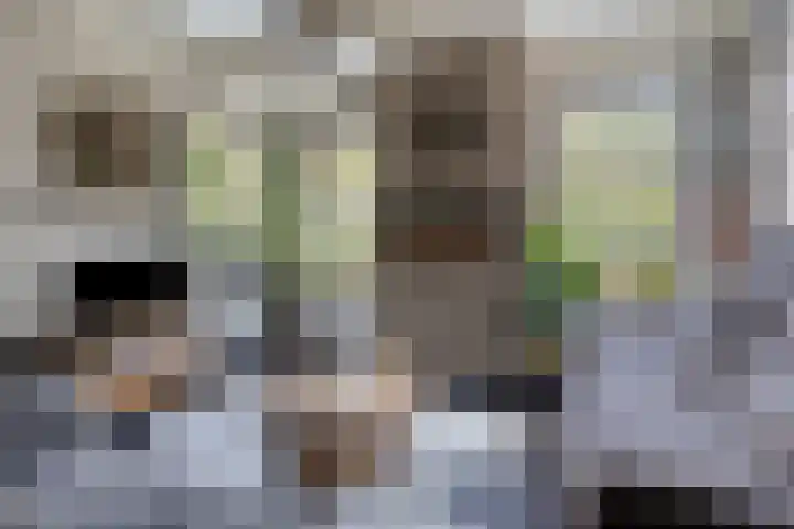 Hereweg 142 Meeden thumbnail 8