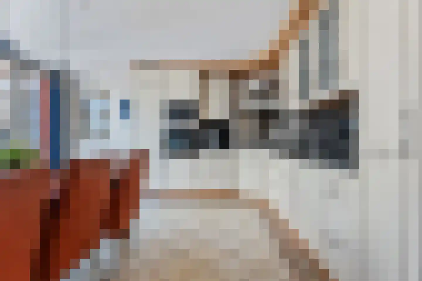 Hereweg 186 Meeden thumbnail 14