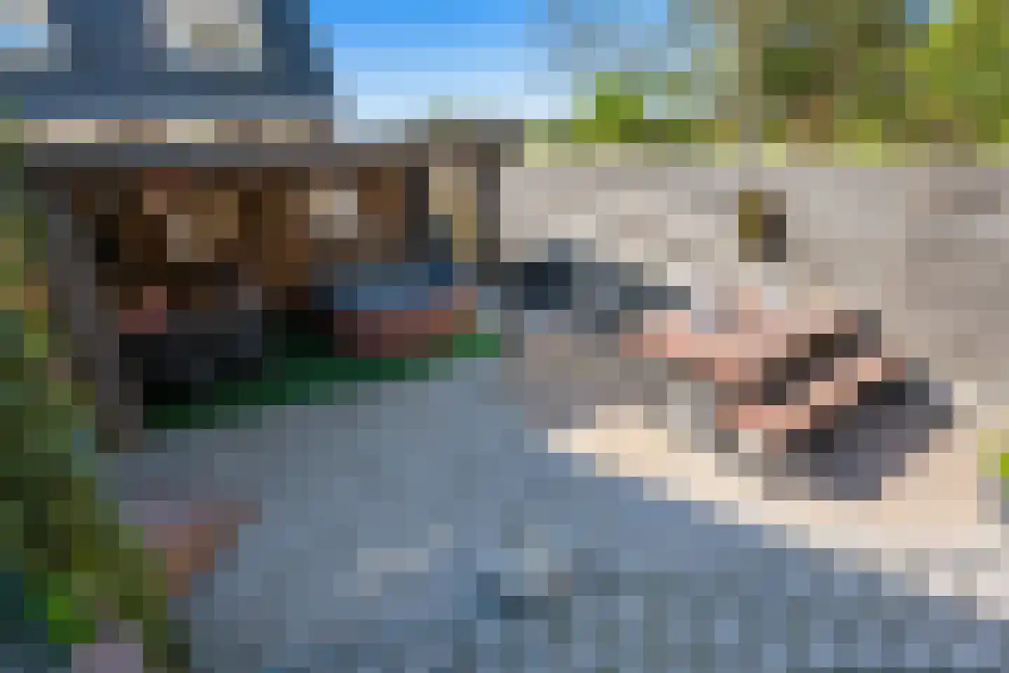 Hereweg 186 Meeden thumbnail 38