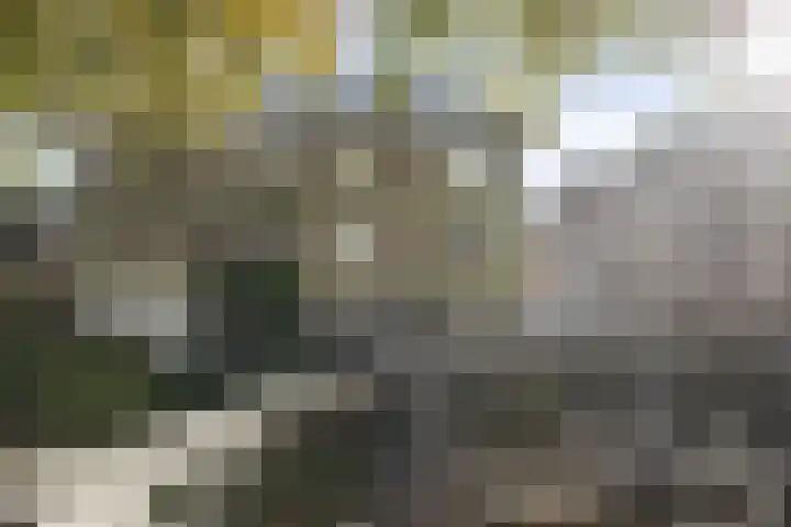 Hereweg 22 b Groningen thumbnail 6