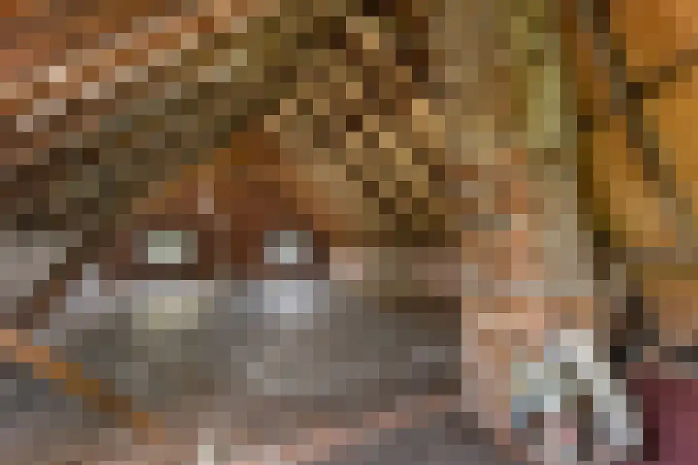 Hereweg 222 Meeden thumbnail 22