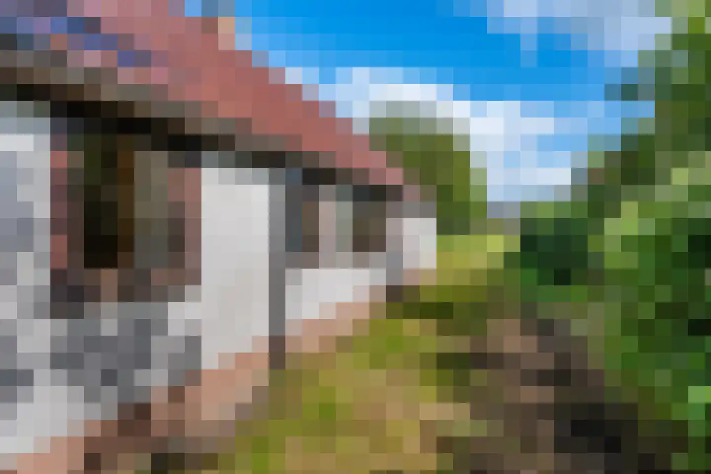 Hereweg 222 Meeden thumbnail 28