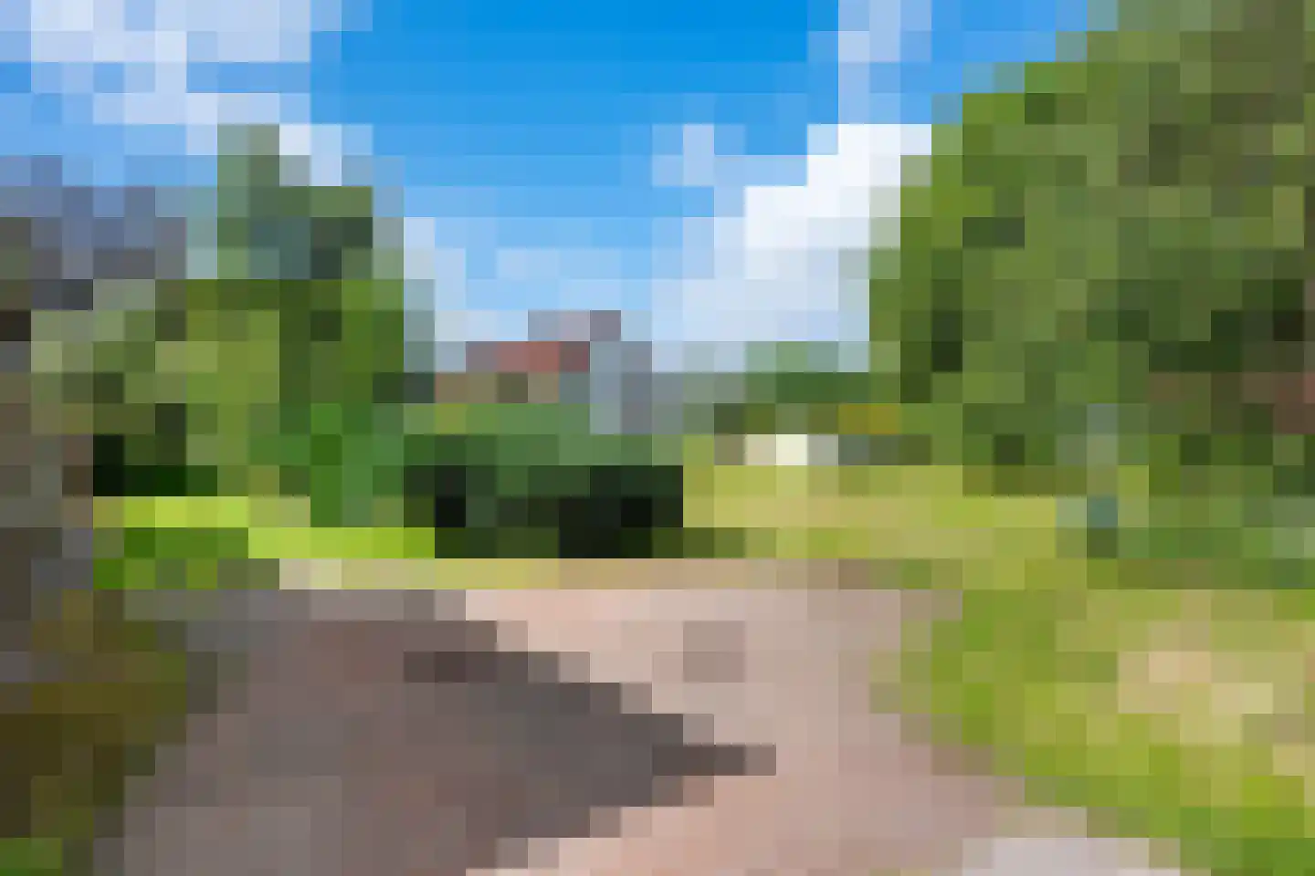 Hereweg 222 Meeden thumbnail 29
