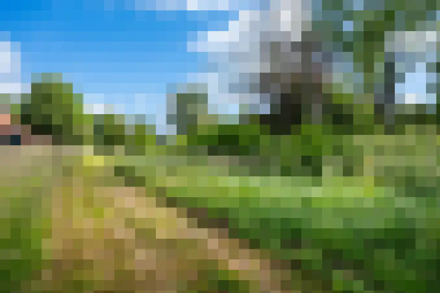 Hereweg 222 Meeden thumbnail 31