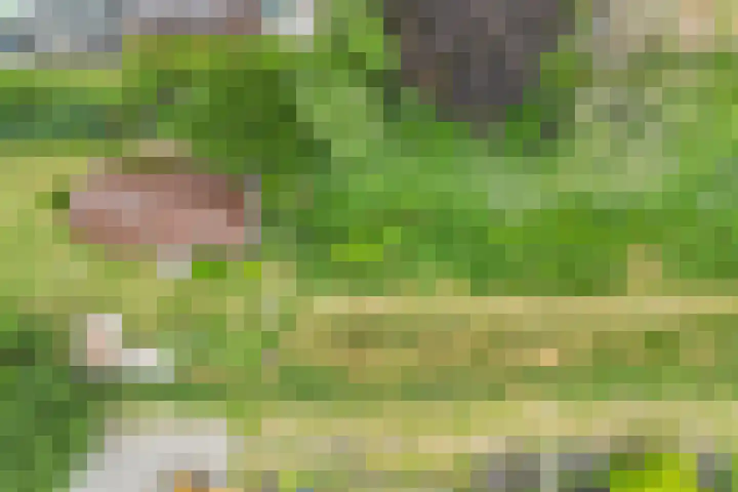 Hereweg 222 Meeden thumbnail 32