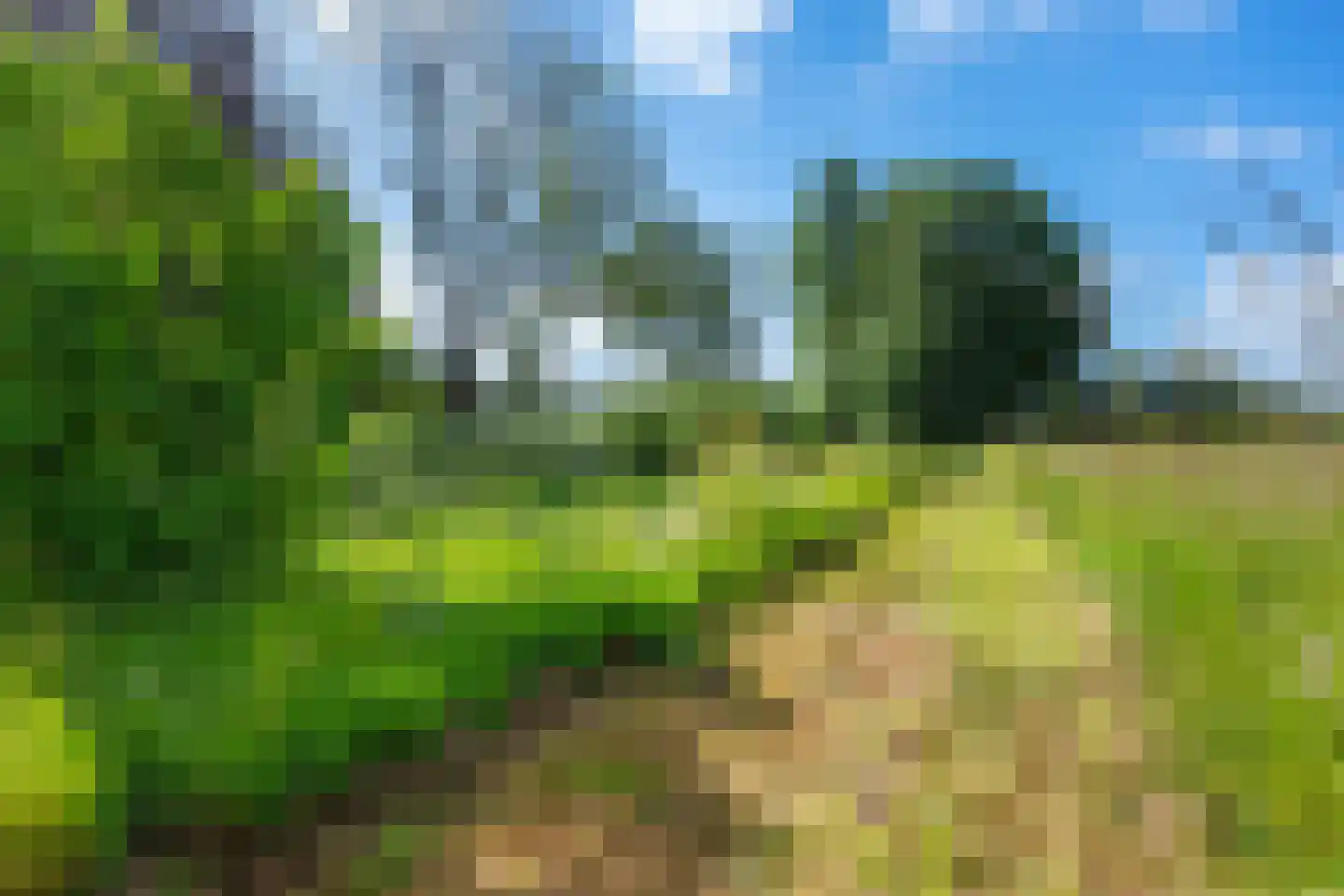 Hereweg 222 Meeden thumbnail 33