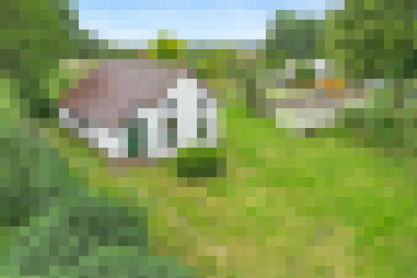 Hereweg 222 Meeden thumbnail 34